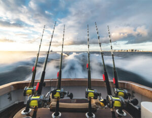 Read more about the article Fishing