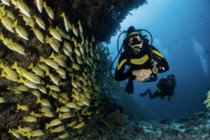 Read more about the article Scuba Diving