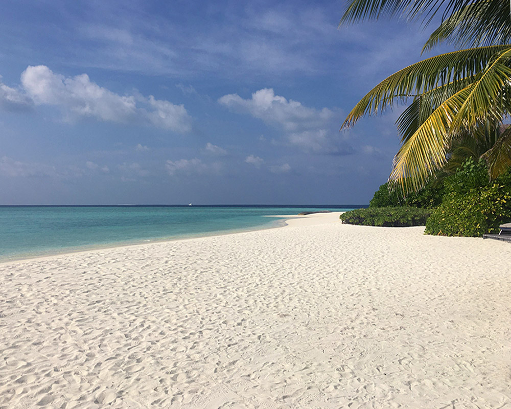 Beach of Four Season Private island