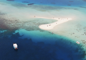 Read more about the article Sandbank Picnic