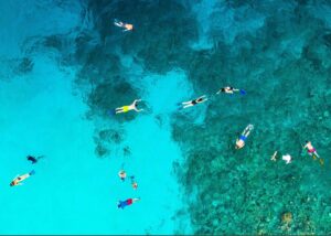 Read more about the article Snorkeling
